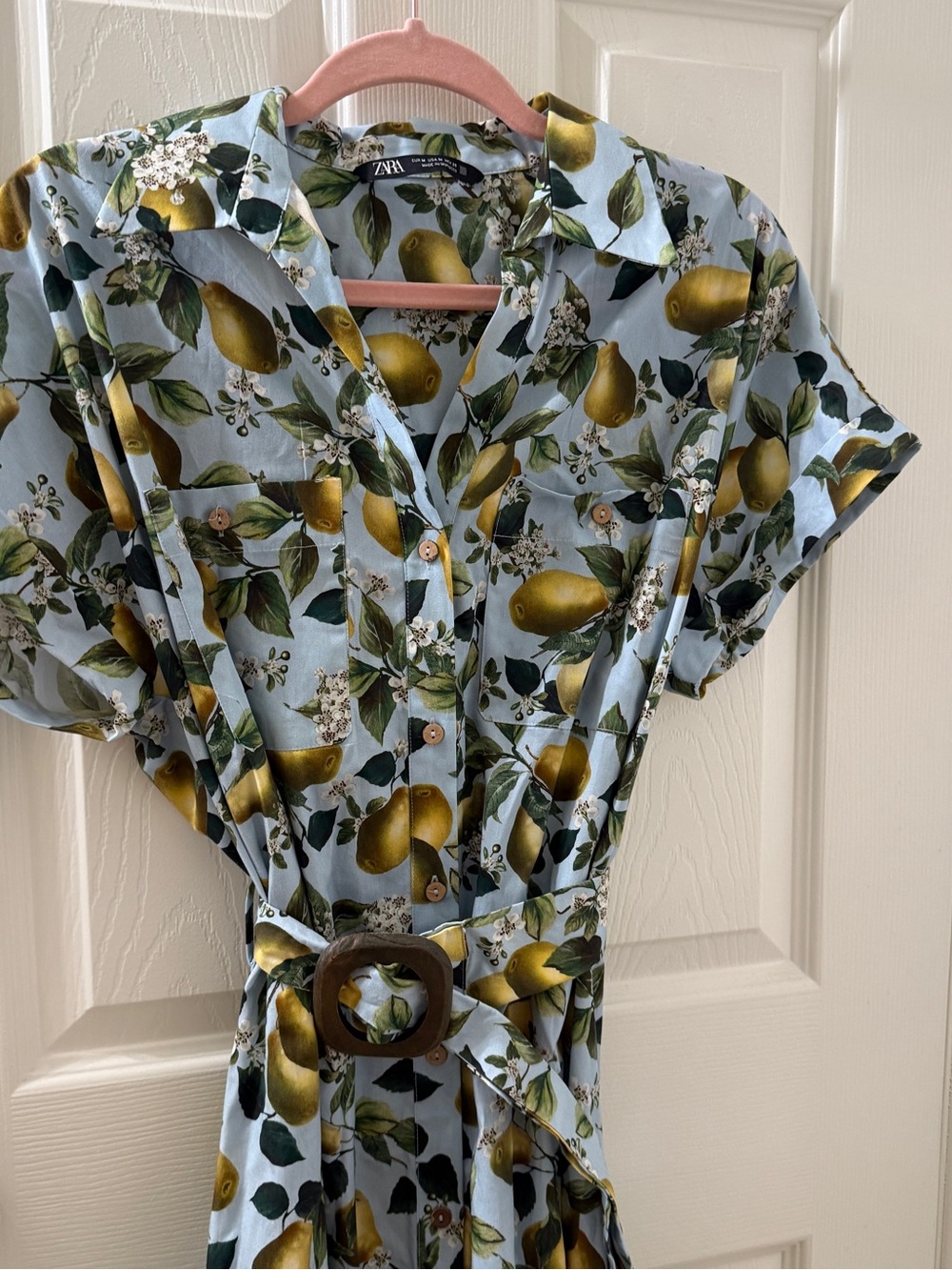 Zara Pear Print Midi Dress with Belt Size M